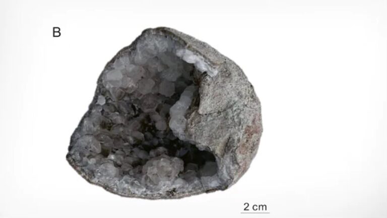 Dinosaur eggs: జెయింట్ క్రిస్టల్‌తో నిండిన రెండు డైనోసార్ గుడ్లను కనుగొన్న శాస్త్రవేత్తలు