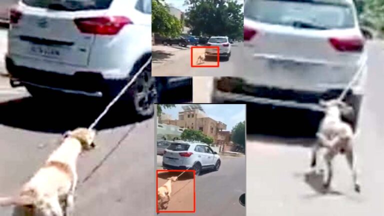 Doctor- Dog Video Viral: కుక్కపై వైద్యుడి పైశాచికం తాడుతో కట్టి కారుతో రోడ్డుపై ఈడ్చుకుంటూ..