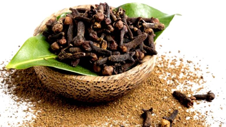 Health Benefits Cloves: ఆరోగ్యానికి లవంగాలు..!