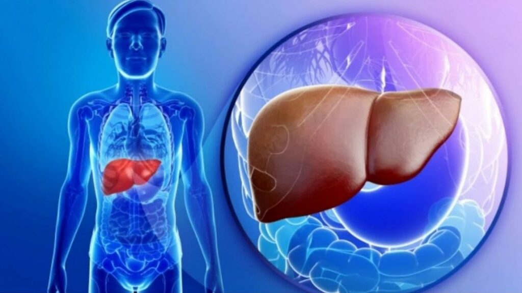 Healthy Liver Tips