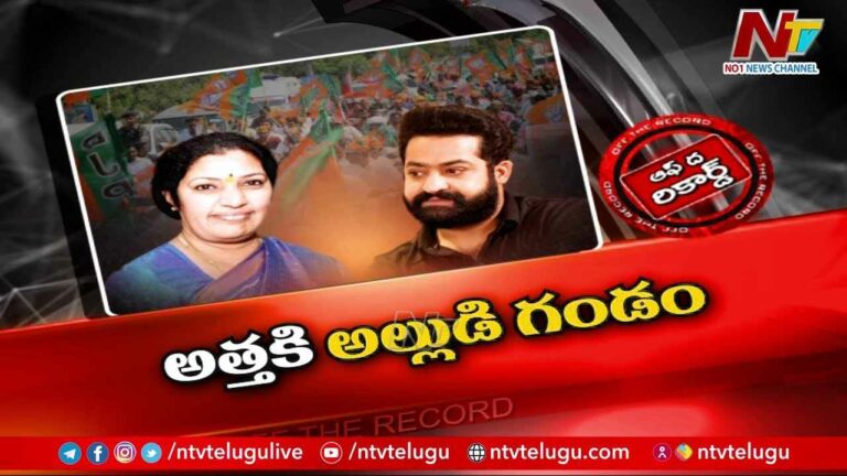 Bharatiya Janata Party : జూ.ఎన్టీఆర్ ఎఫెక్ట్ తో పురంధేశ్వరిని బీజేపీ పక్కన పెట్టేస్తోందా..