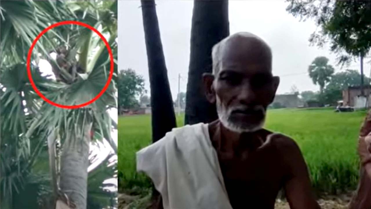 Man Upset of His Wife: భార్య కొడుతుందని చెట్టెక్కిన భర్త.. నెలరోజులుగా అక్కడే!