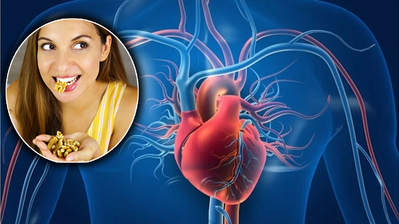 Nuts and your heart: రోజూ గుప్పెడు పల్లీలు తింటే గుండె పదిలం