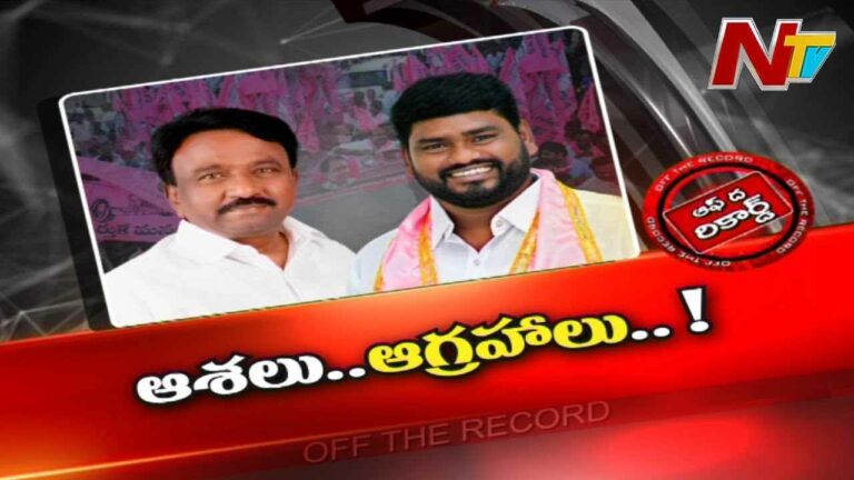 Palamuru TRS : టీఆర్ఎస్ ఆశావాహులు అక్కడ గందరగోళాన్ని సృష్టిస్తున్నారా..?
