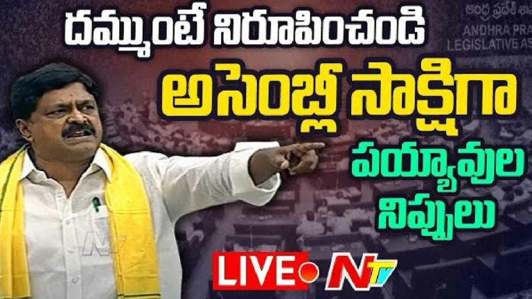 TDP Payyavula Keshav Aggressive : దమ్ముంటే నిరూపించండి.. పయ్యావుల నిప్పులు
