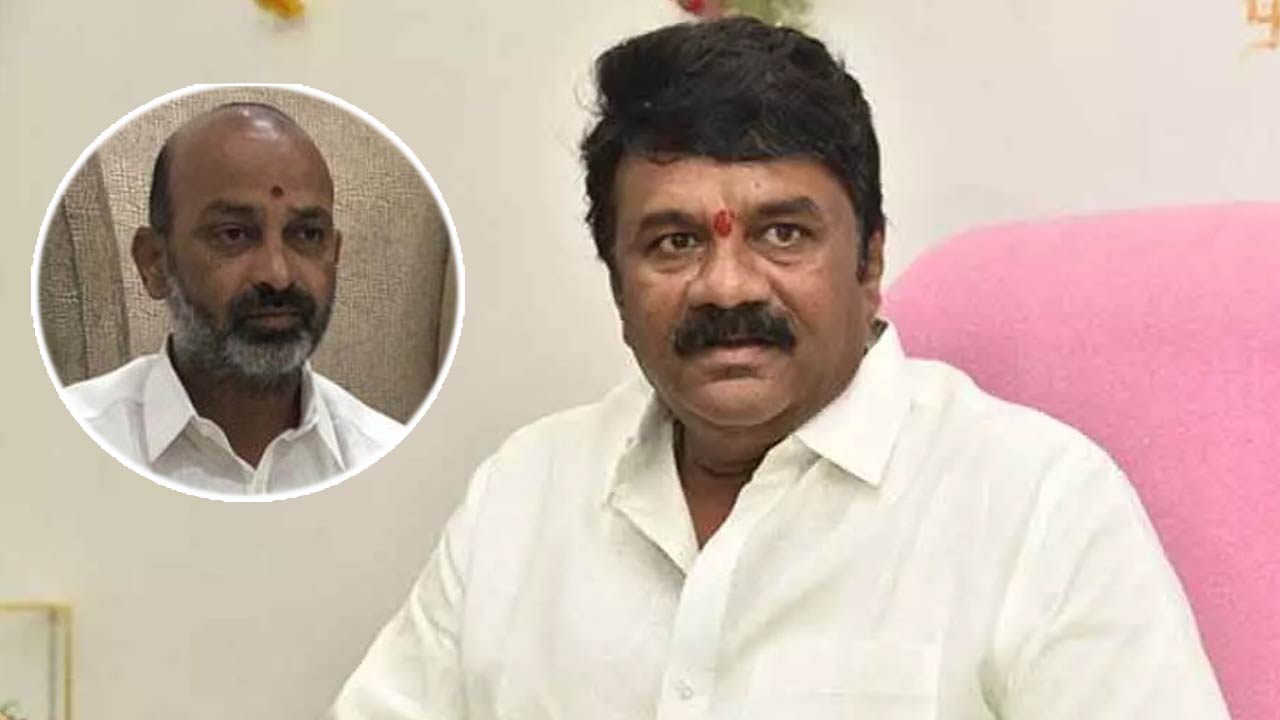 Talasani Srinivas Yadav: నిమజ్జనానికి అన్ని ఏర్పాట్లు.. మీరు హిందువులు అంటే.. మరి మేం ఎవరం..?