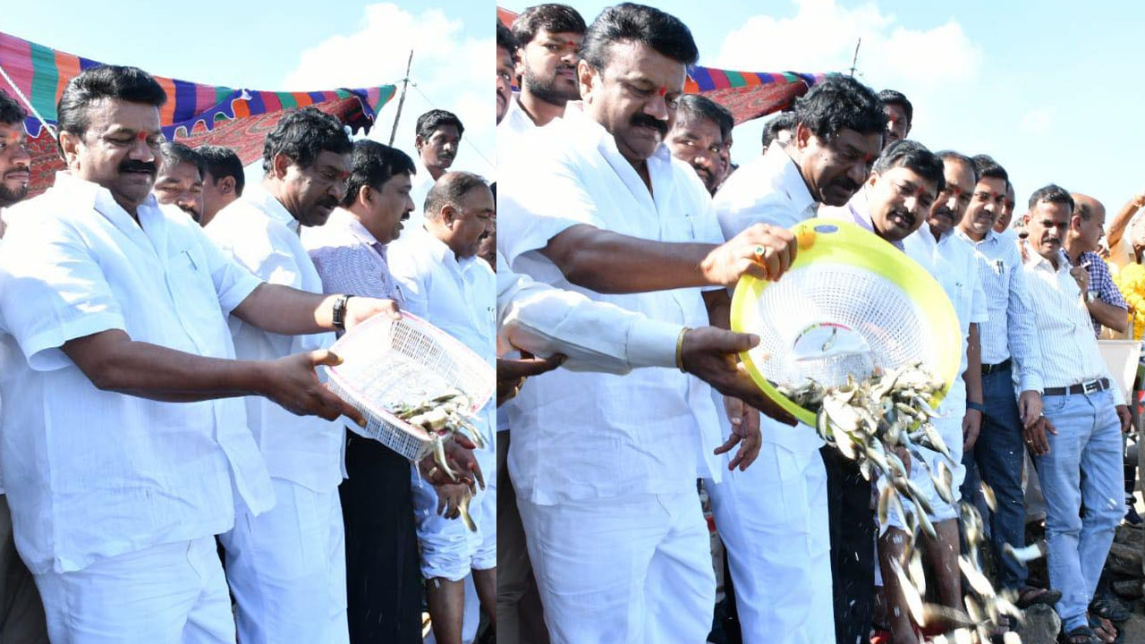 Talasani Srinivas: మధ్య దళారులను నమ్మొద్దు, మోసపోవద్దు.. తలసాని సూచన..