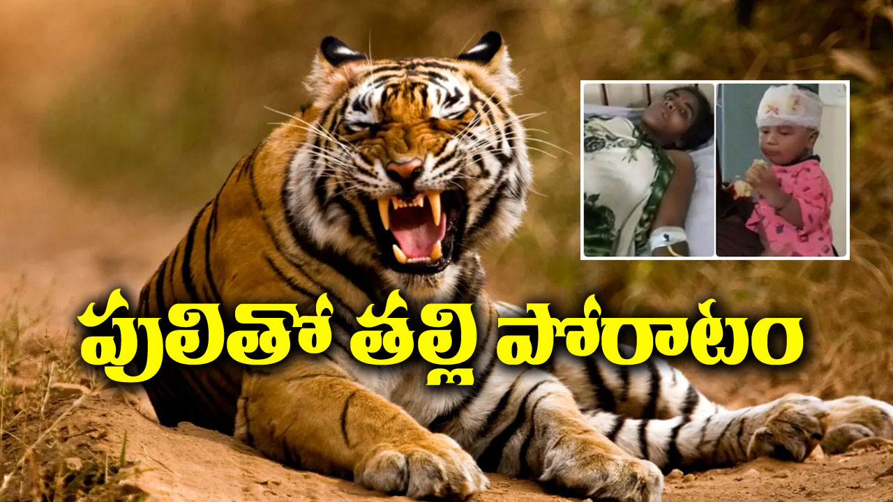 Tiger Attack Mother Son : బిడ్డకోసం పులితో తల్లి పోరాటం.. తరువాత..!