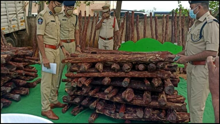 Red Sandal Smuggling: తగ్గేదే లేదన్న వైసీపీ నేత.. వదిలేదే లేదంటూ పట్టుకున్న పోలీసులు