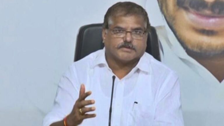Botsa Satyanarayana: ప్రభుత్వ ఉద్యోగులను చంద్రబాబే రెచ్చగొడుతున్నారు