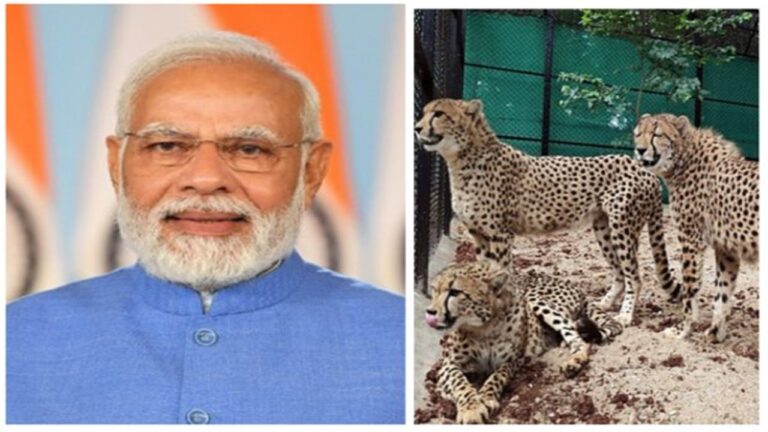 Cheetahs to India: చీతాలు వచ్చేశాయ్‌.. చీతా ప్రాజెక్ట్‌ను ప్రారంభించనున్న ప్రధాని