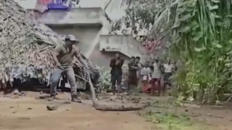 King Cobra in Anakapally: అనకాపల్లిలో భారీ కింగ్ కోబ్రా హల్ చల్