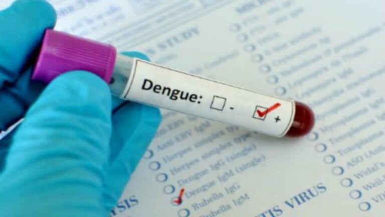 Dengue Danger Bells: ఏజెన్సీపై డెంగీ పడగ.. ఆస్పత్రుల్లో బెడ్ లు నిల్