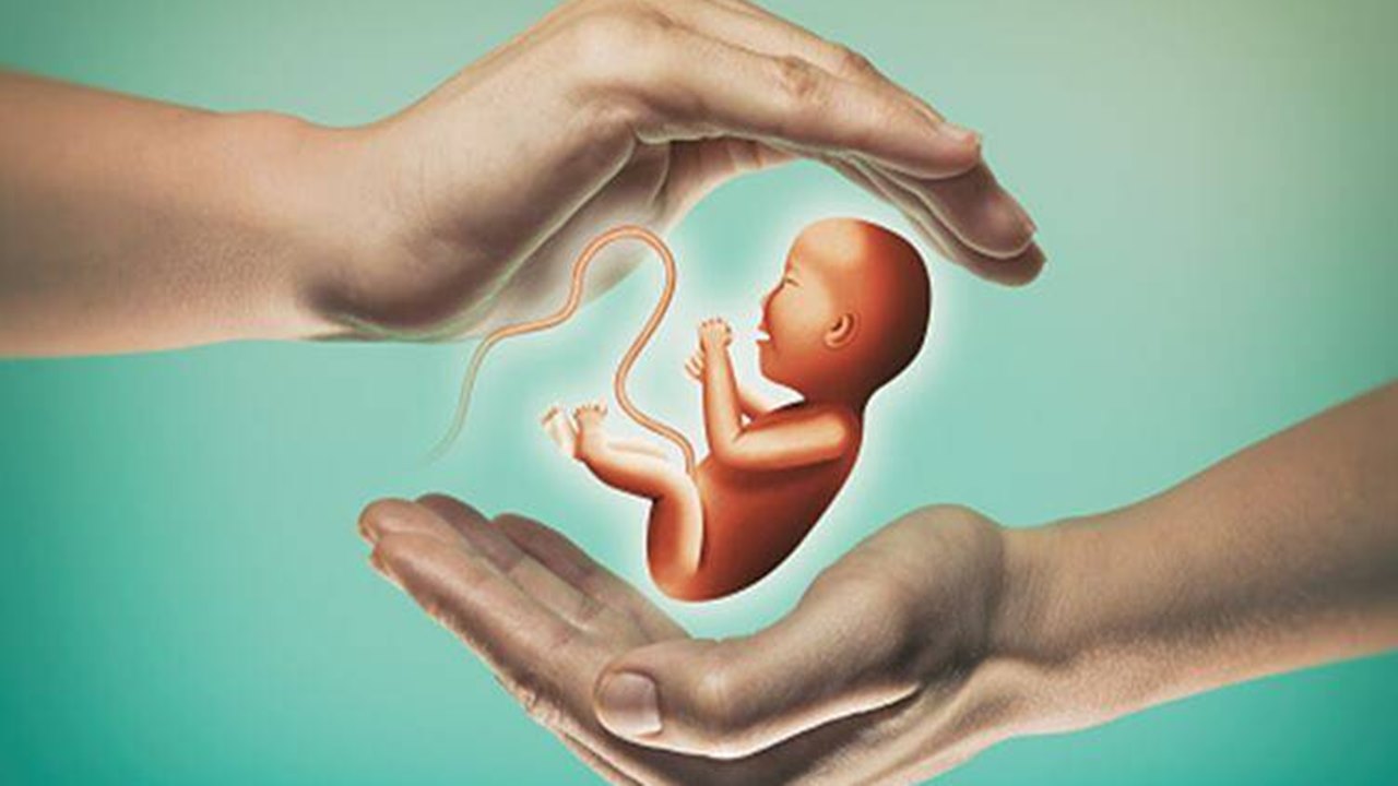 Fertility Rate: దేశంలో భారీగా తగ్గిన సంతానోత్పత్తి.. గత పదేళ్లలో 20% డౌన్