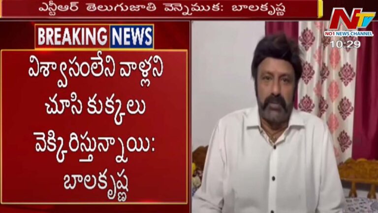 Hero Balakrishna: మార్చెయ్యటానికీ తీసెయ్యటానికి NTR అన్నది పేరుకాదు..