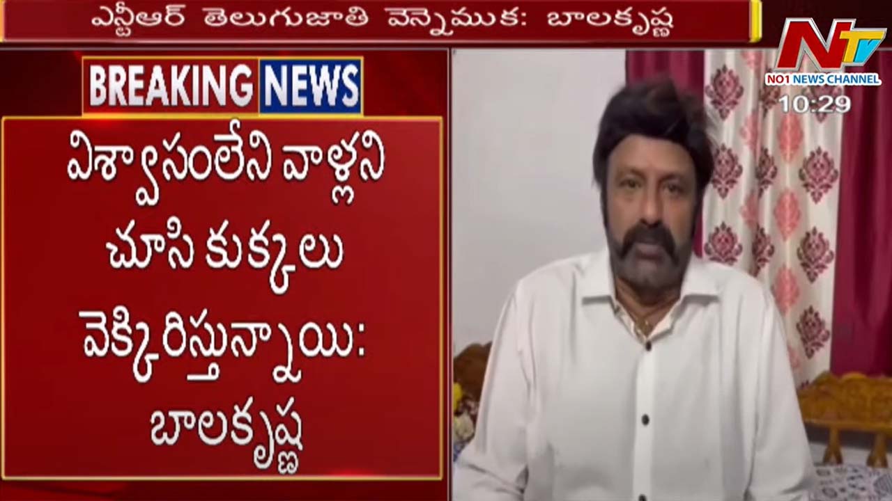 Hero Balakrishna: మార్చెయ్యటానికీ తీసెయ్యటానికి NTR అన్నది పేరుకాదు..