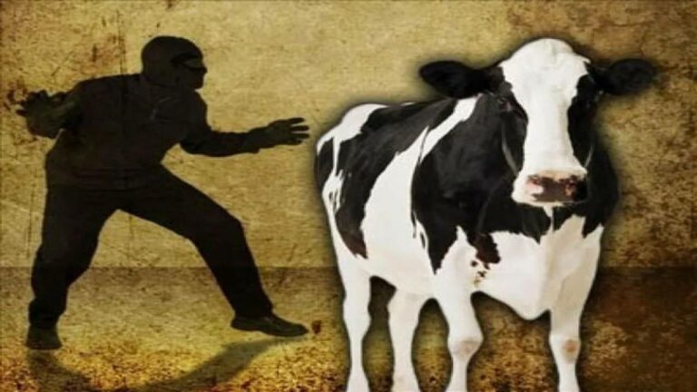 Cows Theft: అక్కడ ఆవుల్నీ వదల్లేదు కేటుగాళ్లు