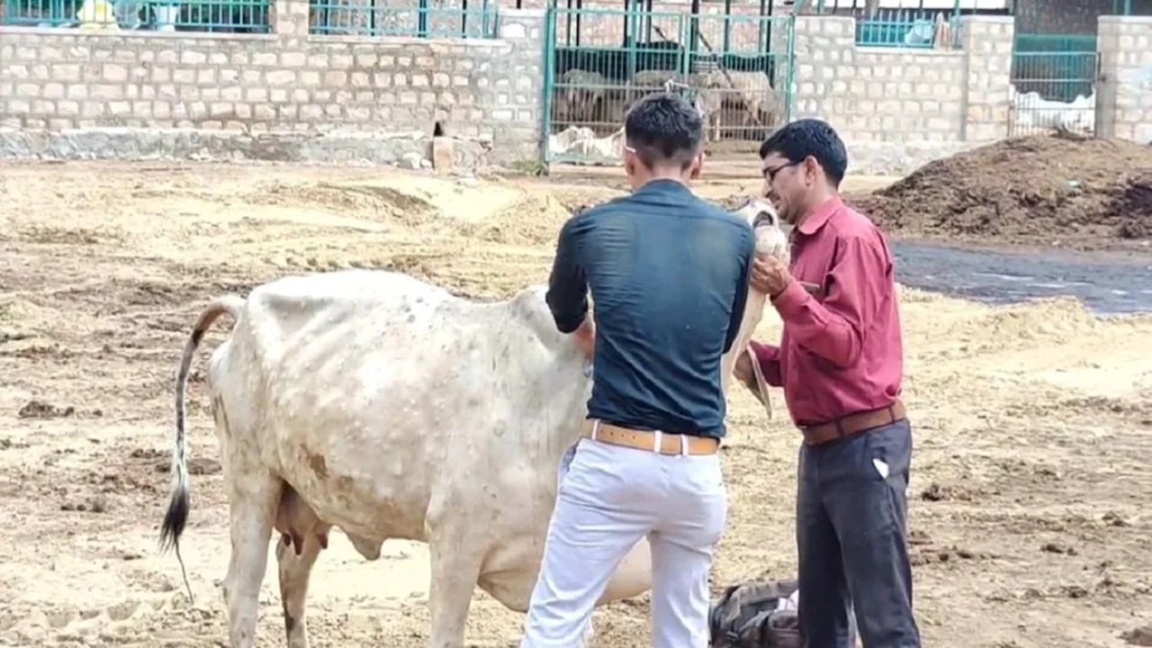 Lumpy Disease: లంపి వ్యాధితో ఇప్పటివరకు 57వేల పశువులు మృతి.. వ్యాక్సినేషన్ పెంచాలని రాష్ట్రాలకు కేంద్రం సూచన