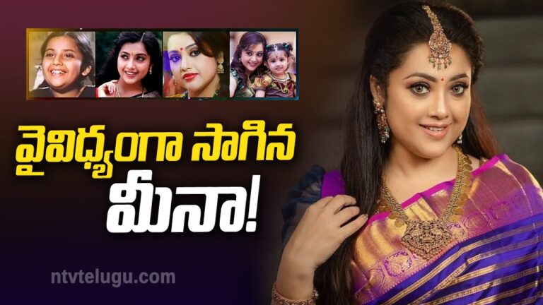 Meena Birthday Special : వైవిధ్యంగా సాగిన మీనా!