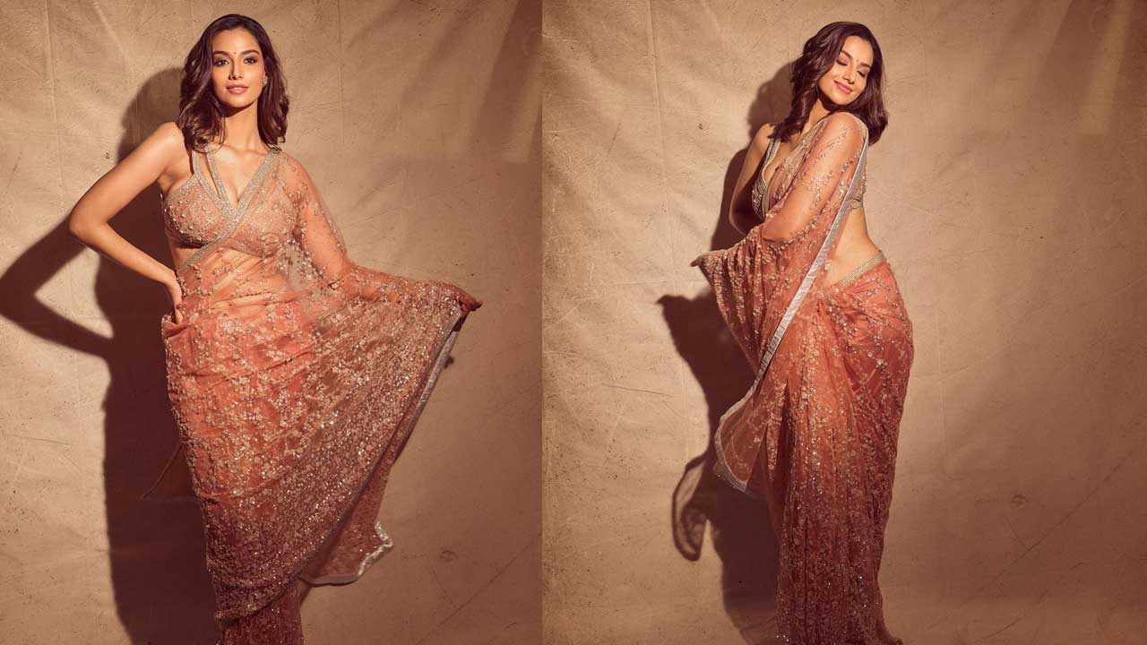 Meenakshii Chaudhary: తళుకులీనుతున్న చీరలో ‘ఖిలాడీ’ భామ కనికట్టు