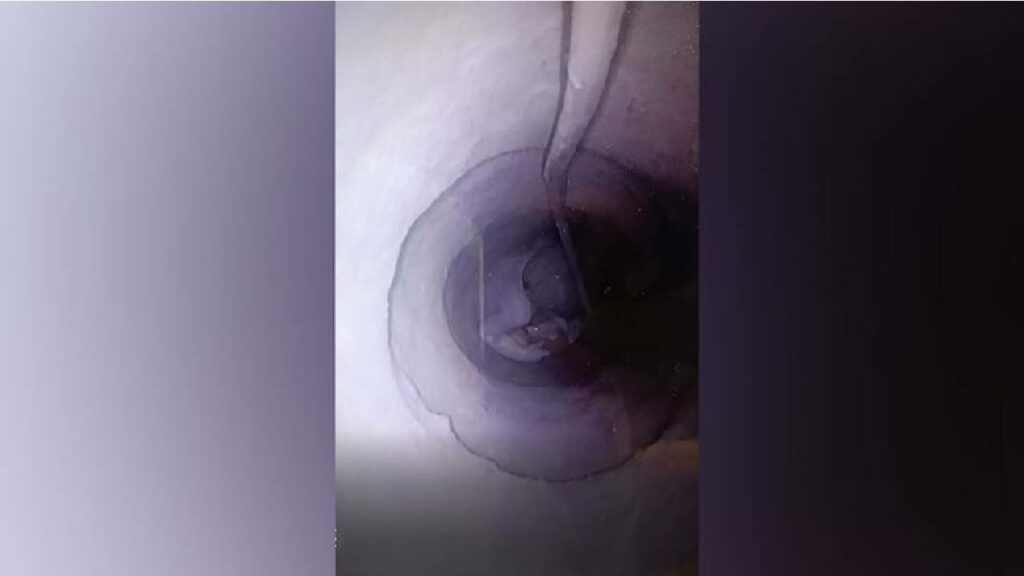 Rajasthan Girl Fell Into Borewell