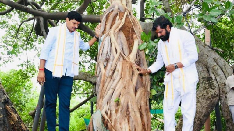 Santosh Kumar: ఆసియాలోనే రెండో అతిపెద్ద మర్రిచెట్టు పరిరక్షణకు నడుం బిగించిన టీఆర్ఎస్ ఎంపీ