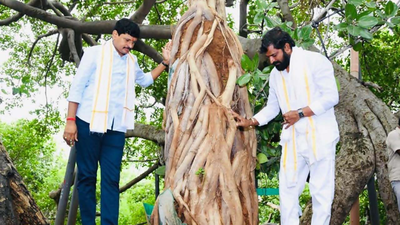 Santosh Kumar: ఆసియాలోనే రెండో అతిపెద్ద మర్రిచెట్టు పరిరక్షణకు నడుం బిగించిన టీఆర్ఎస్ ఎంపీ