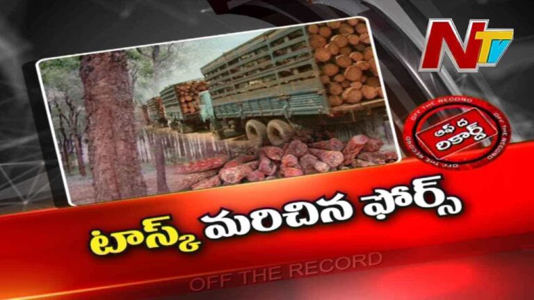 Red sandal  : శేషాచలంలో ఎర్ర చందనం ఎటు పోతుంది..?