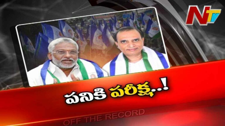 Y. V. Subba Reddy : టీడీపీ కోటను ఆయన బద్దలు కొట్టగలరా..?