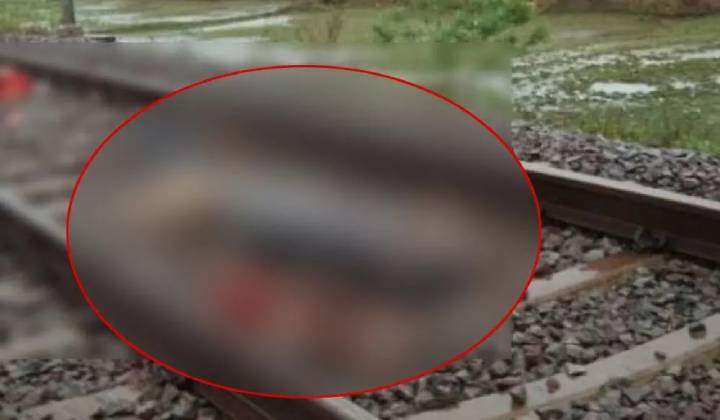 Self Destruction: ట్రైన్ కిందపడి తండ్రీకొడుకు బలవన్మరణం