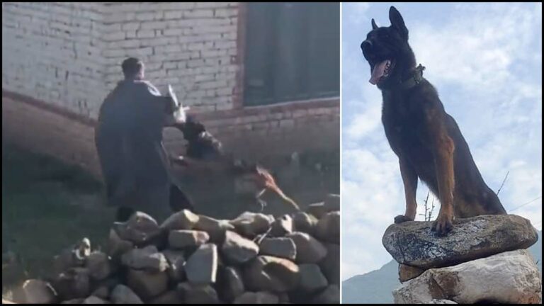 Army Dog Zoom: బుల్లెట్లు దూసుకెళ్లినా.. ఉగ్రవాదుల్ని చీల్చి చెండాడింది
