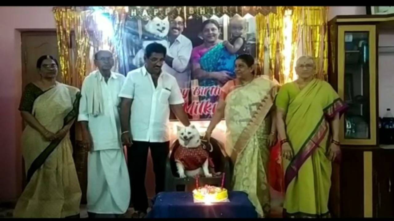Dog Birth day: హ్యాపీ బర్త్ డే మిల్కీ..శునకానికి గ్రాండ్ గా వేడుక
