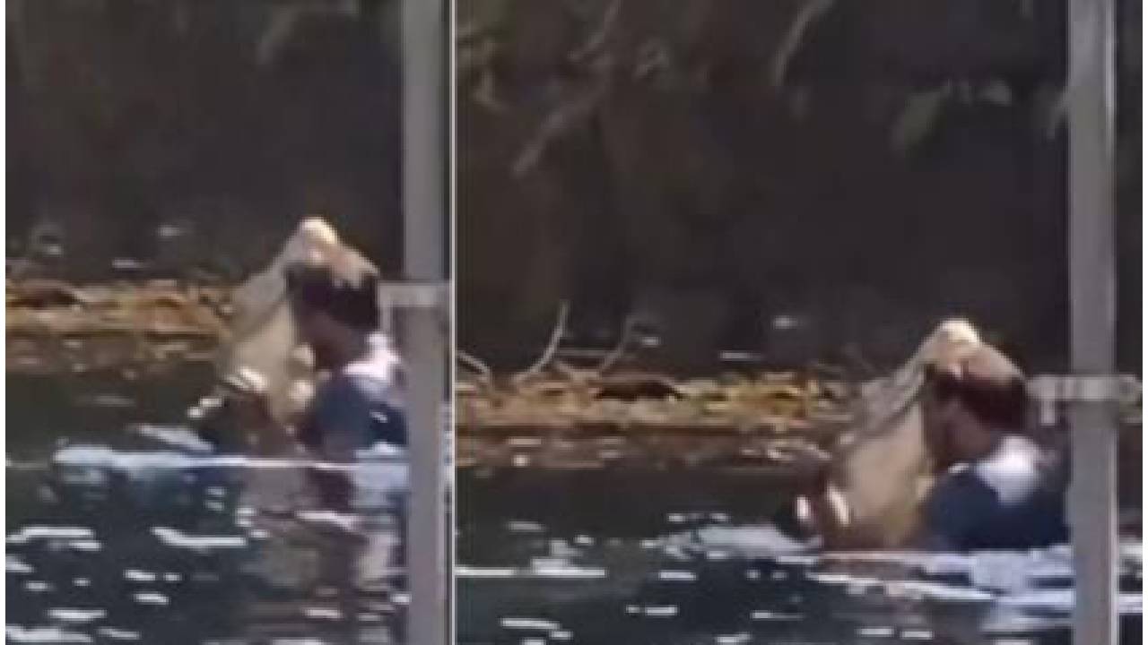 Man Dance with Crocodile : అదేం.. నీ గర్ల్ ఫ్రెండ్ కాదురా అయ్యా.. మొసలితో సాల్సా డ్యాన్స్!