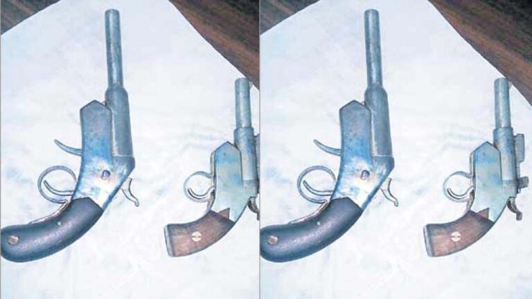 Jumble of revolvers: అసెంబ్లీ సమీపంలో రివాల్వర్ల కలకలం