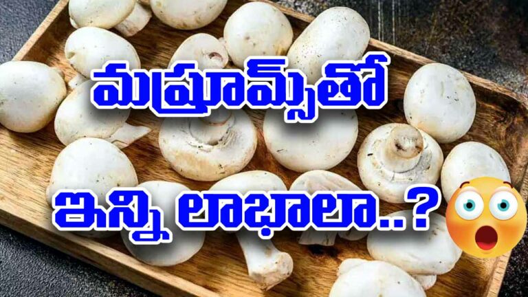 Mushrooms Benefits : పుట్టగొడుగులను మహిళలు ఇలా తీసుకుంటే ఎన్ని ప్రయోజనాలో తెలుసా?