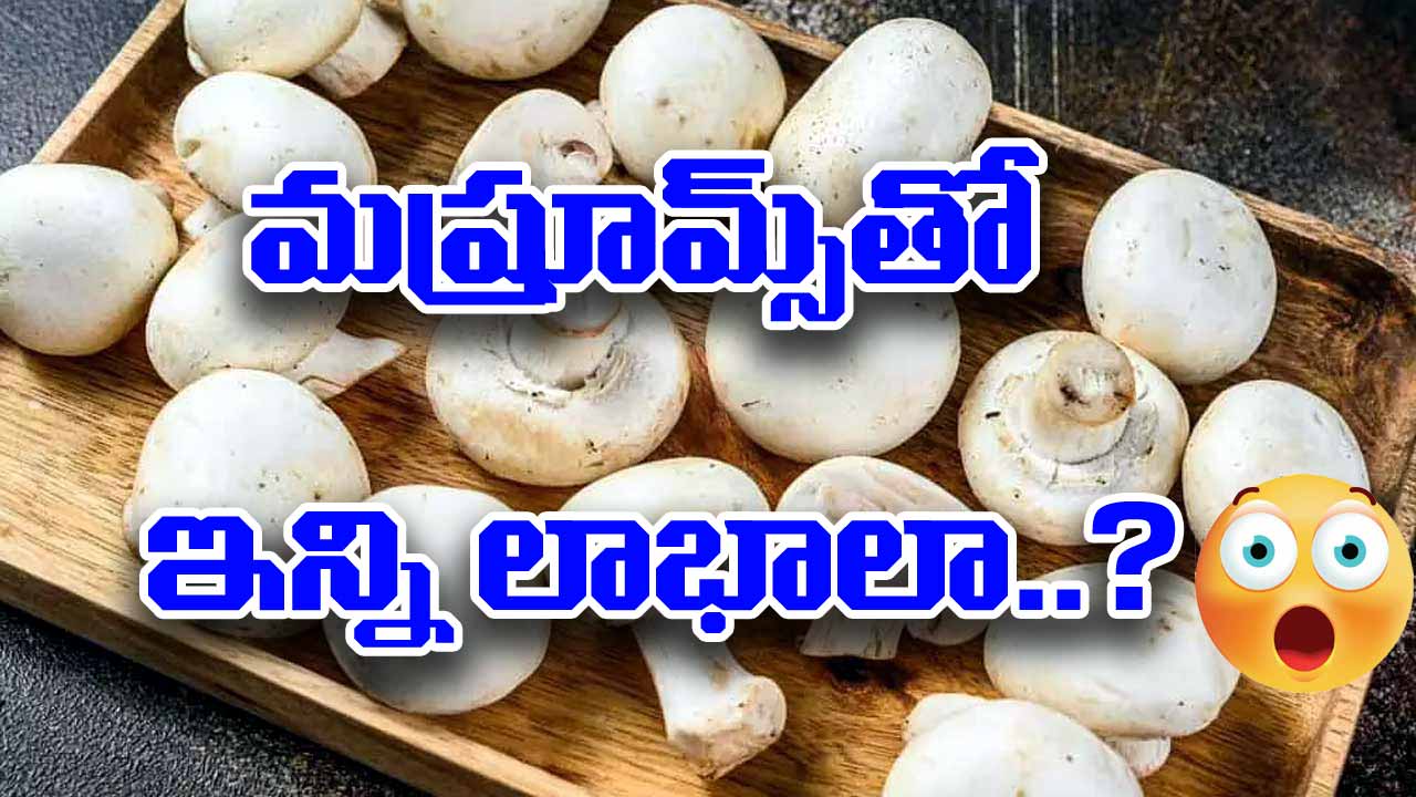 Mushrooms Benefits : పుట్టగొడుగులను మహిళలు ఇలా తీసుకుంటే ఎన్ని ప్రయోజనాలో తెలుసా?