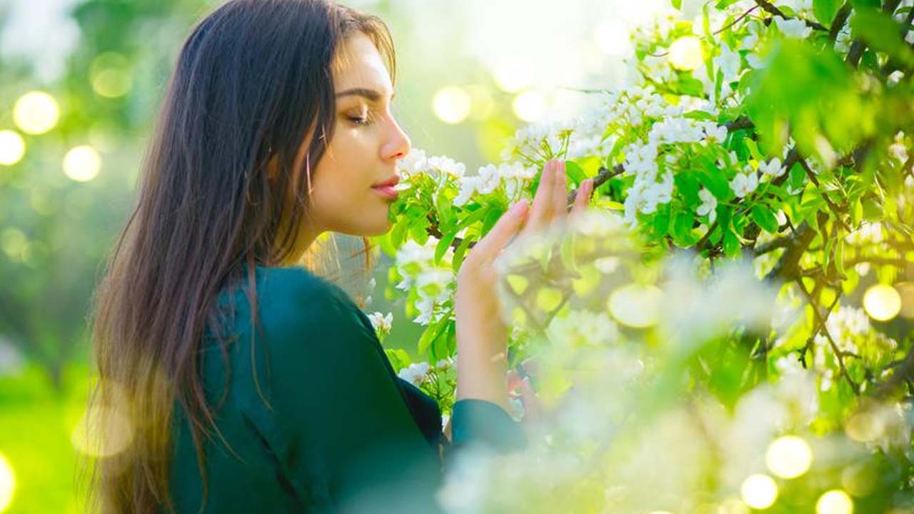 Nature is Beauty: ఎంత ఖరీదైన కాస్మొటిక్స్ వాడినా ముఖం నిగారింపు కోల్పోతుందా?