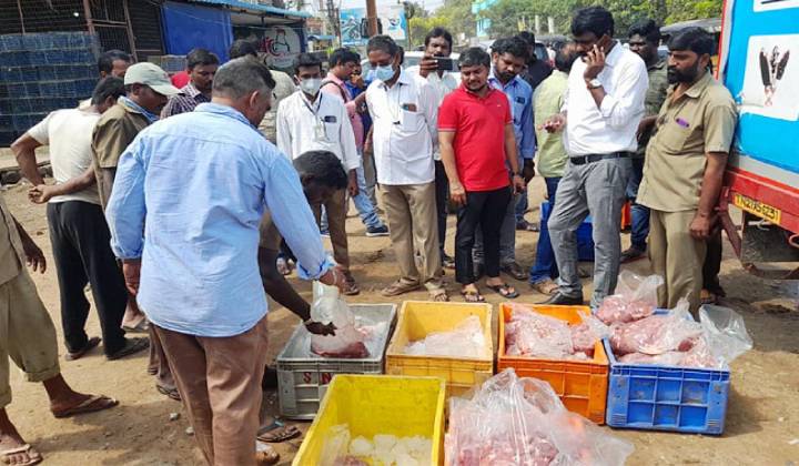 Nellore Meat