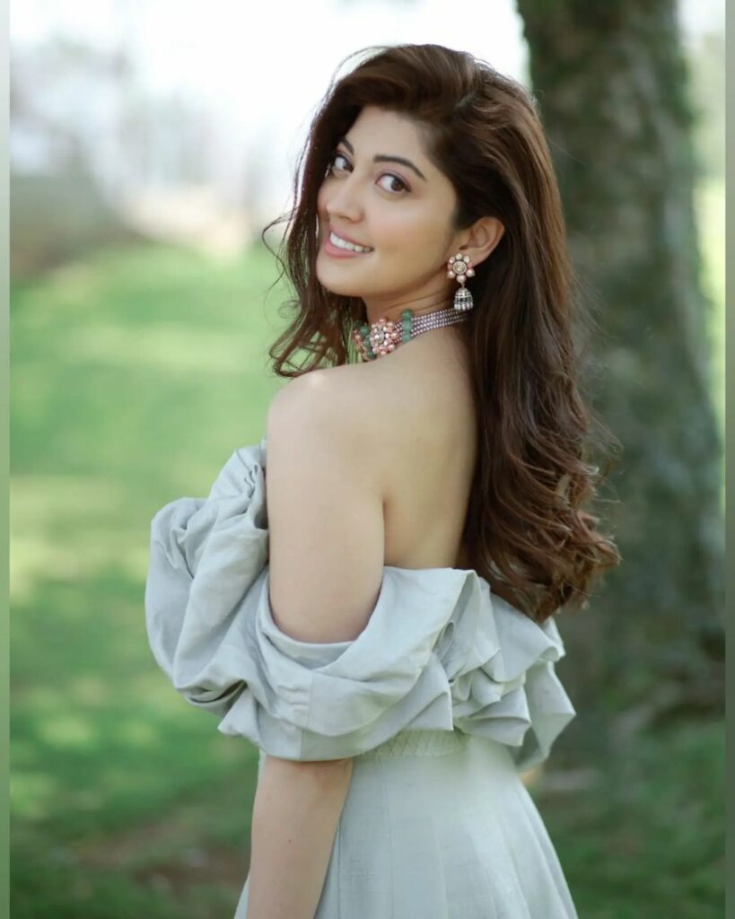 Pranitha Subhas (4)