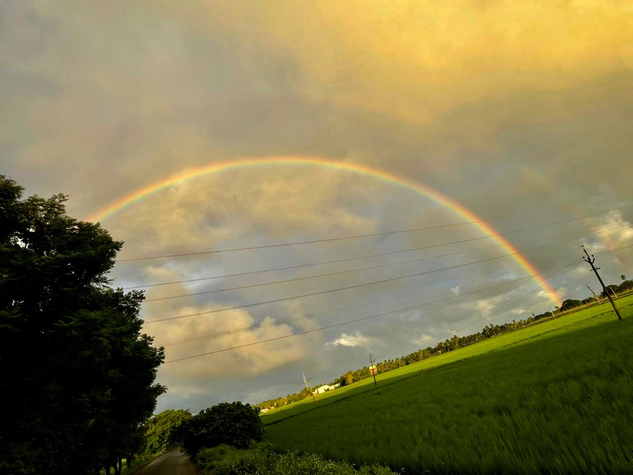 Rjy Rainbow 9 Oct 002