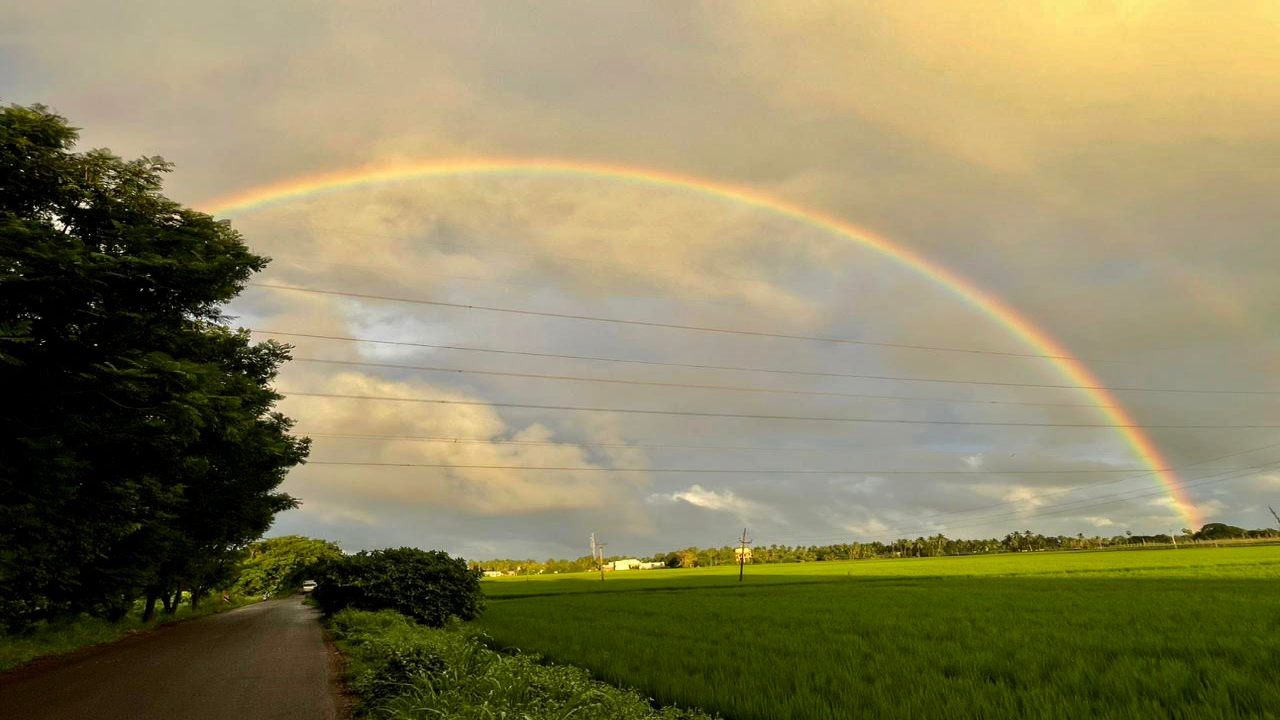 Rajahmundry Rainbow: రాజమండ్రిలో అలరించిన ఇంద్రధనుస్సు