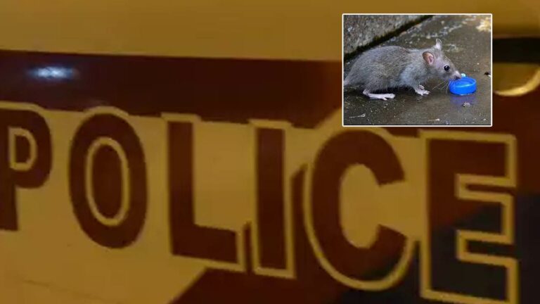 Rat Stolen: ఎలుక ఎత్తుకెళ్లారని ఫిర్యాదు.. ముగ్గురిపై కేసు నమోదు