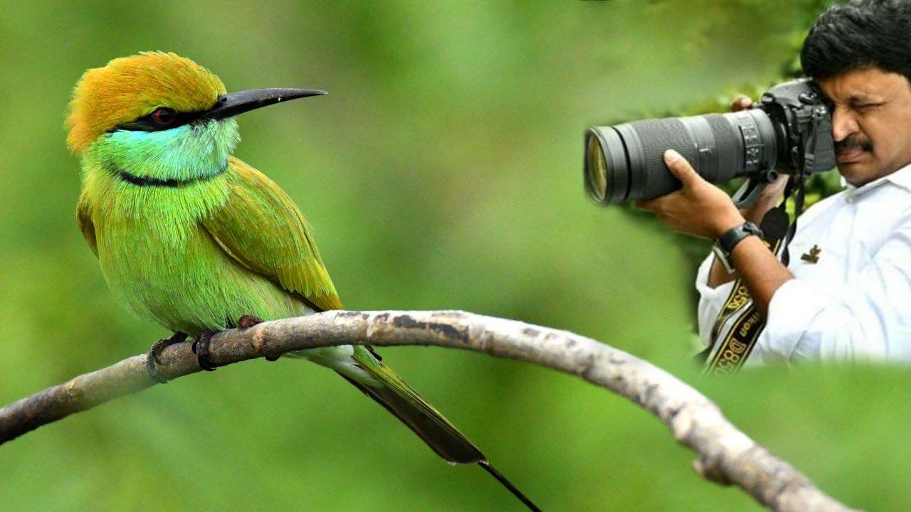Mp Santhosh Kumar: కెమెరాలో బంధించిన పక్షిఫోటో.. వీక్లీడేస్‌ ను ఎంజాయ్‌ అంటూ పోస్ట్‌