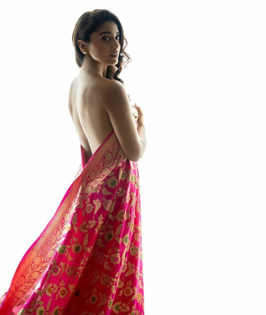 Shriya Saran (4)