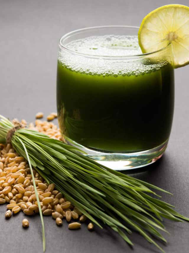 Wheatgrass Juice గోధమ గడ్డి జ్యూస్‌.. సర్వ రోగ నివారిణి NTV Telugu