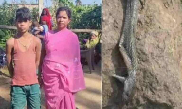 Boy Killed Snake: నన్నే కాటేస్తావా..కొరికి చంపుతా.. పాముపై కోపంతో బాలుడు ఏంచేశాడంటే..