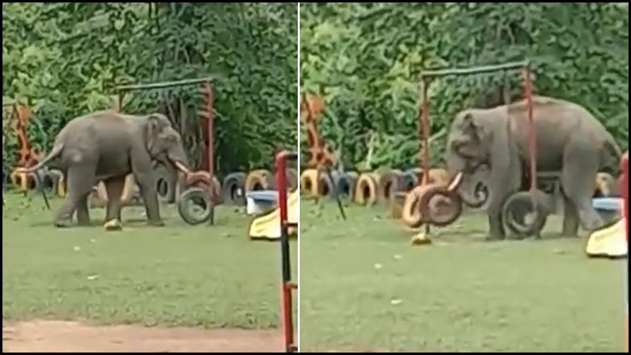 Elephant in park: చిల్డ్రన్స్‌ పార్క్‌లో సరదాగా ఆడుకుంటున్న ఏనుగు.. వీడియో వైరల్