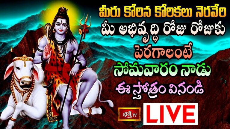 Monday Bhakthi tv special Live: మీరు కోరిన కోరికలు నెరవేరాలంటే..