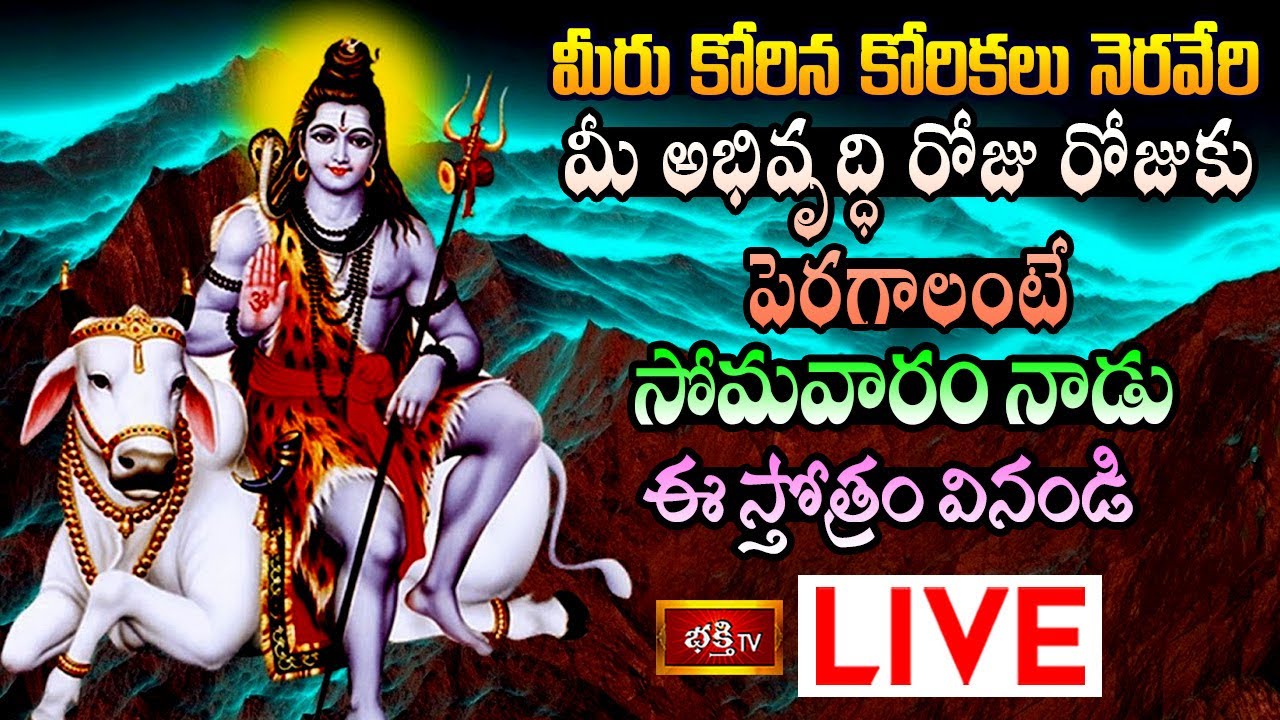 Monday Bhakthi tv special Live: మీరు కోరిన కోరికలు నెరవేరాలంటే..