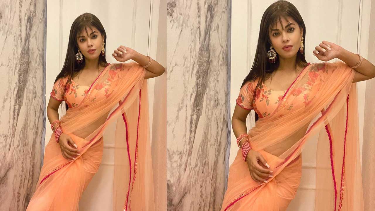 Meera Chopra: చీరలో ‘బంగారం’ బ్యూటీ.. అదరగొడుతుందిగా